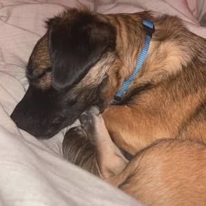 Meet your Posher, Christina